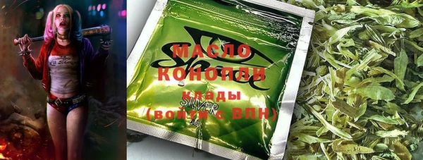 spice Бородино